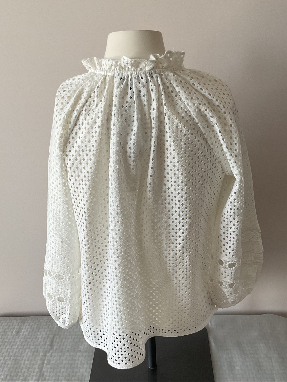 Eyelet Ruffled Neck Blouse - Picture 5 of 9